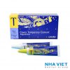 Cement gan tạm Cavex