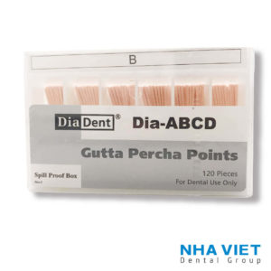 Cone phụ Diadent B