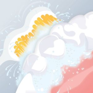 Bàn chải điện edel white