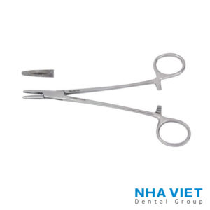 Pen giữ kim Pakistan