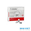 Vật liệu sinh học BioDentin Septodont