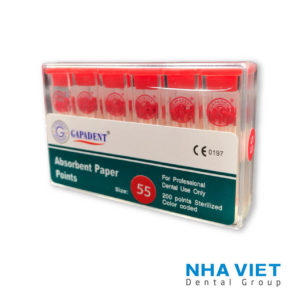 côn giấy Gapadent 55
